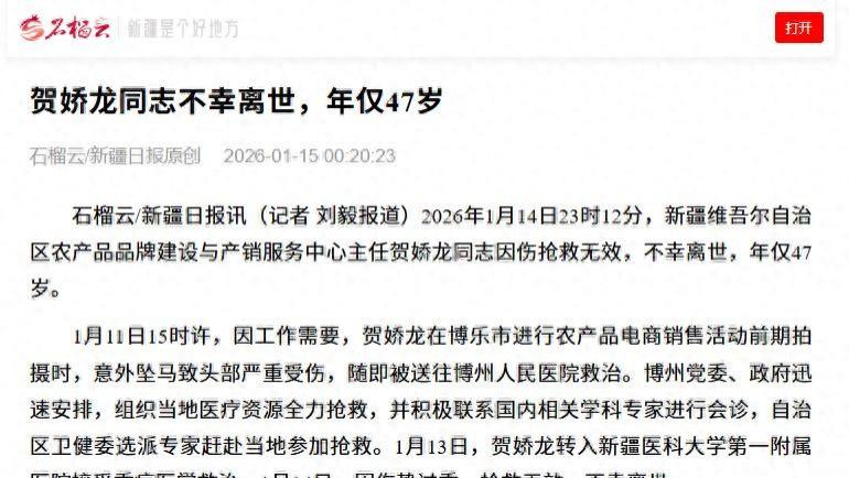 痛惜，雪地红马远去，英才贺娇龙陨落，唯有精神长存