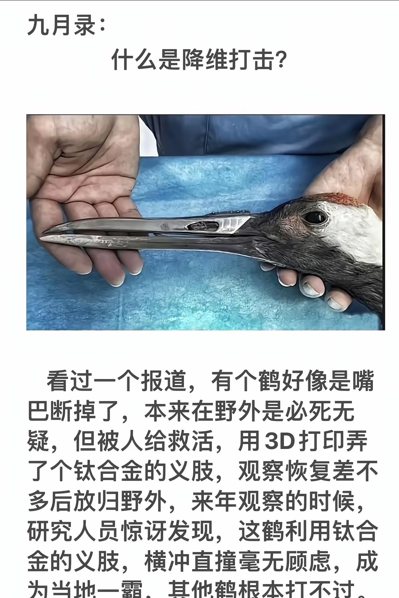 也算是因祸得福吧。。。