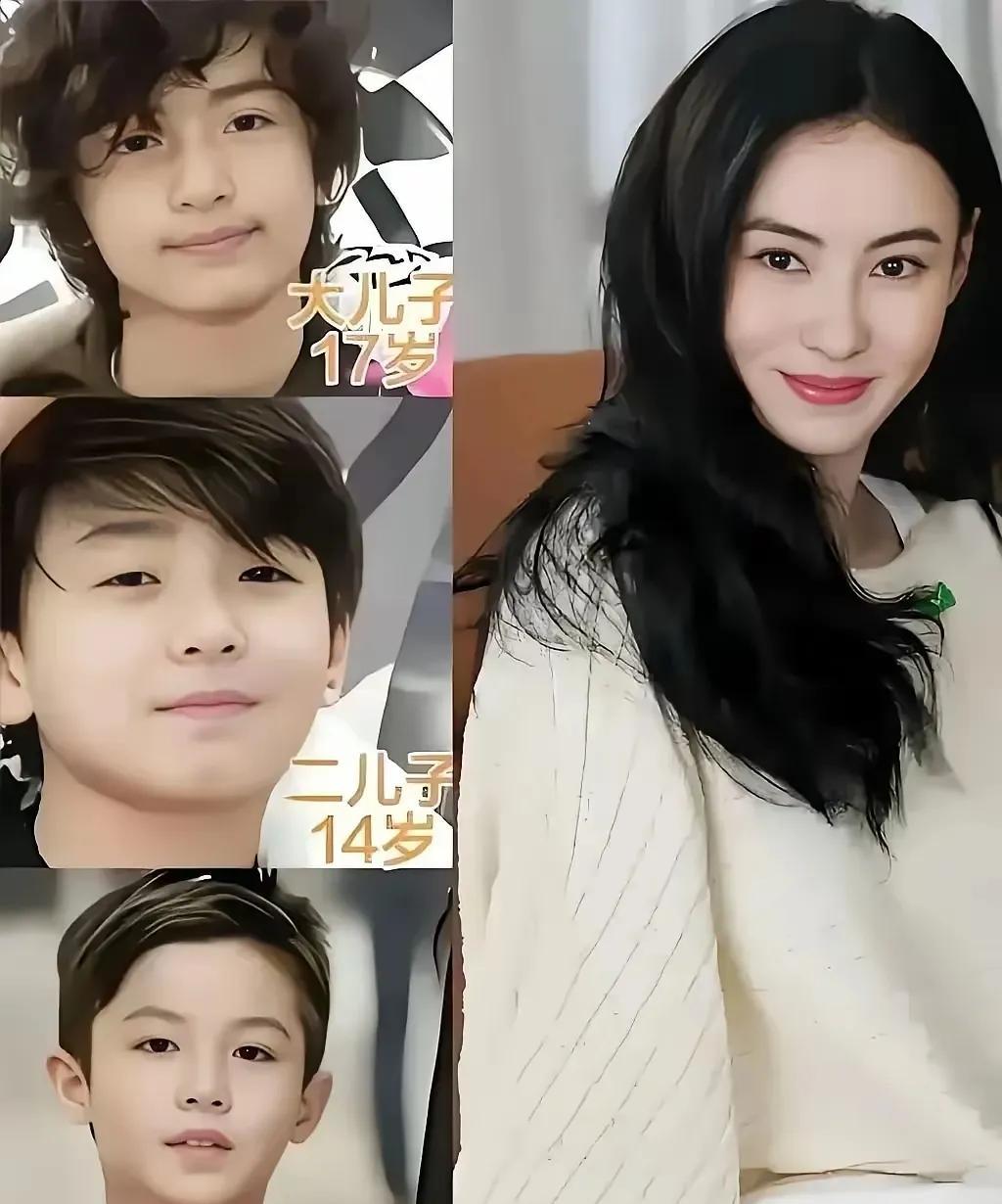 张柏芝三个儿子们
张柏芝和谢霆锋的大儿子谢振轩考上了剑桥大学物理系，这是何等的荣