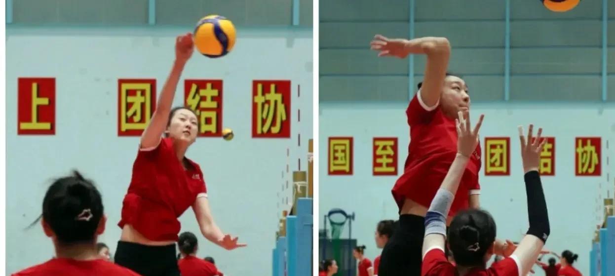 赵勇有点冤...！
除了主教练外，
女排教练团队的分工，
目前主攻指导和发挥效果