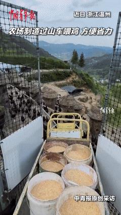 “这个农村小伙火到央视了！”80后小伙在山上养鸡，每天要背上百斤饲料！不料，小伙