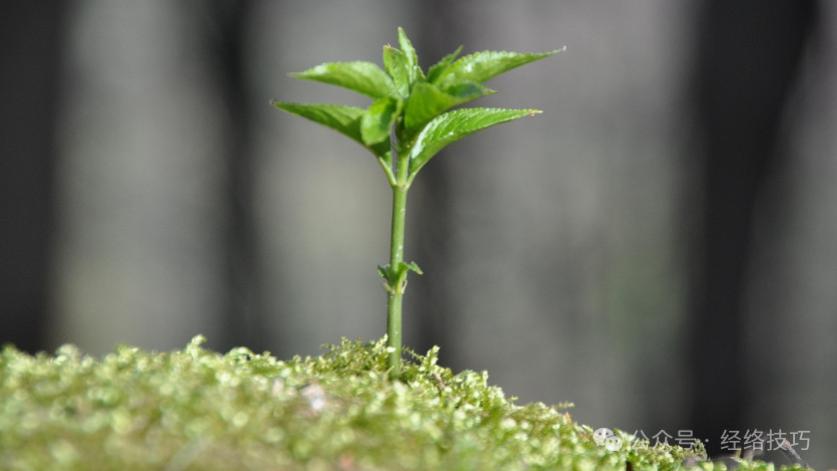 身上藏着6个“阳气窝”，冬天多按按，暖身驱寒，身体从内到外悄悄暖起来