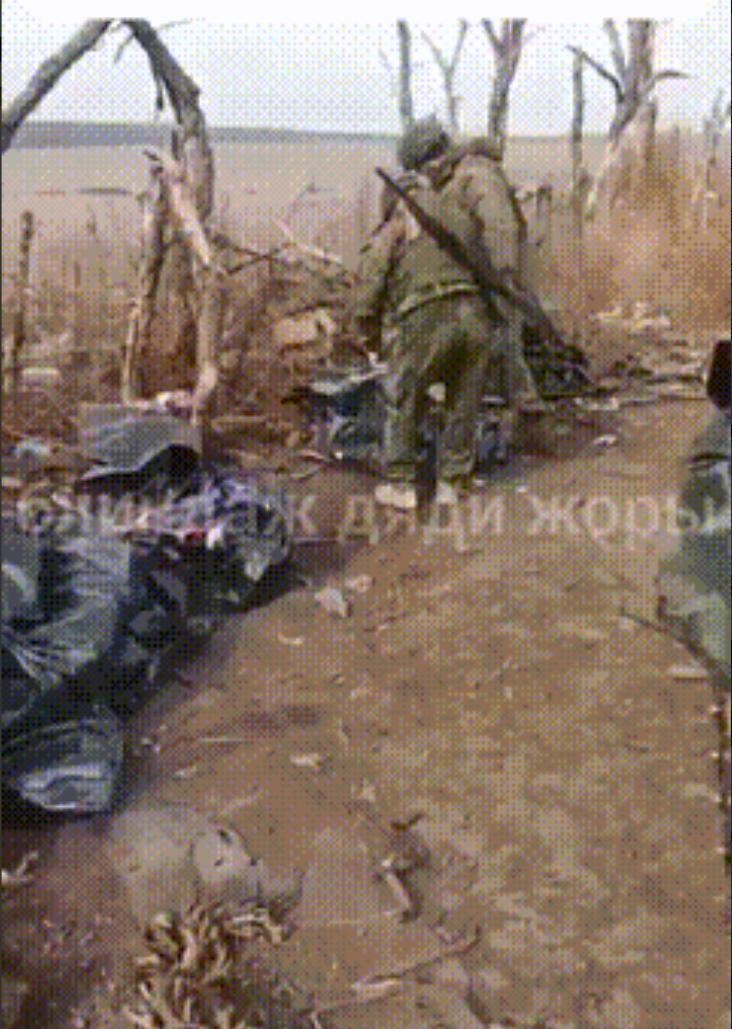 俄军处理乌军阵亡士兵尸体





战争，冰冷的机器吞噬着鲜活的生命。在库尔斯克