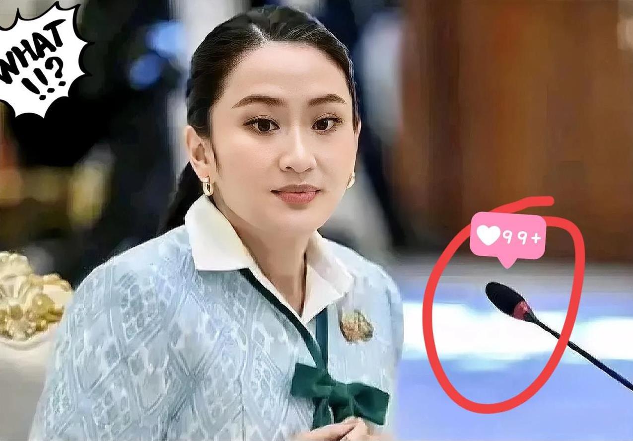 快讯！快讯！
泰国现在到底是谁在当家做主？
佩通坦：巾帼不让须眉，威震四方佩通坦