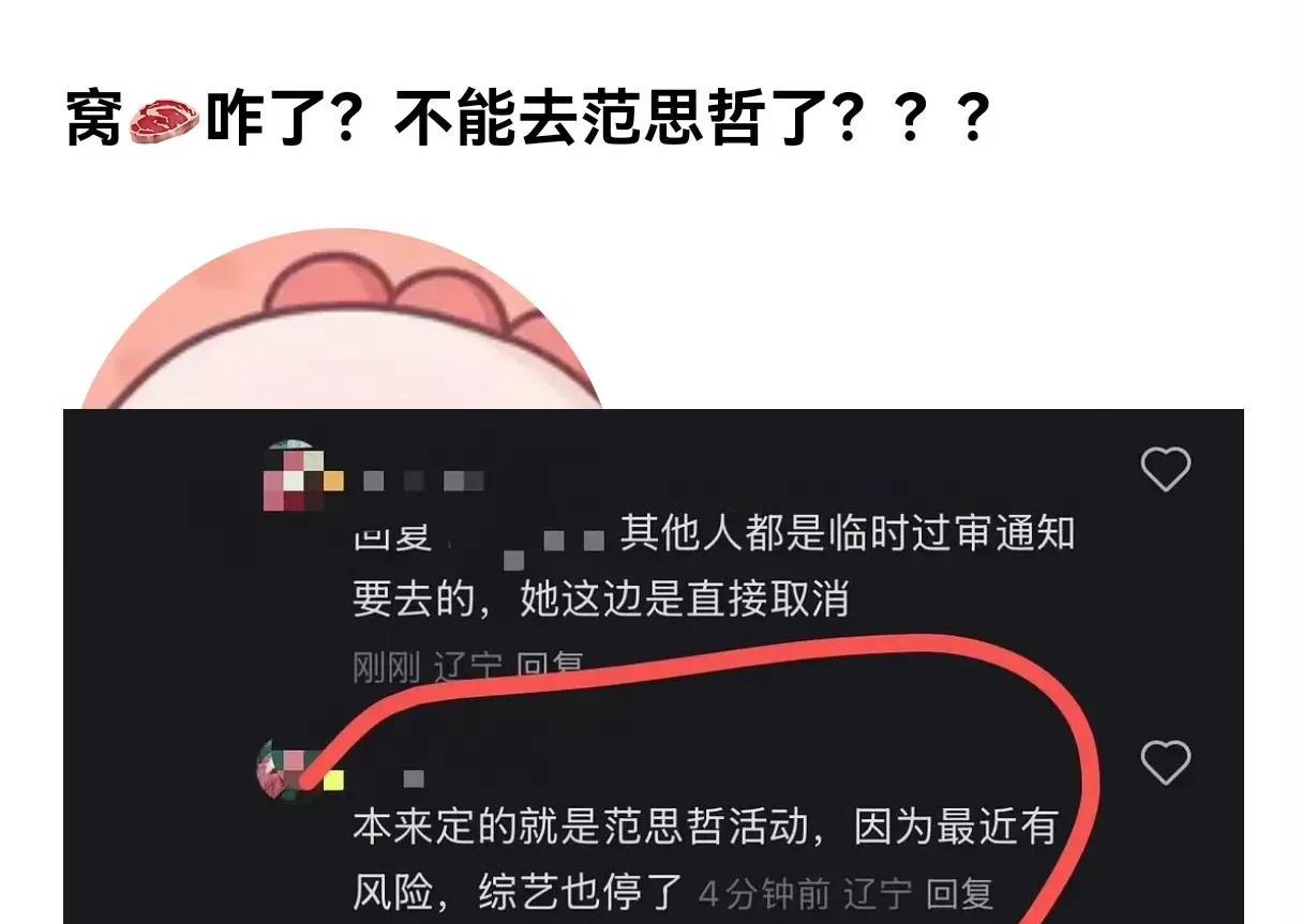 赵露思这是成风险艺人了吗？
个人综艺《小小的勇气》停播，今天本该参加的北影节范思