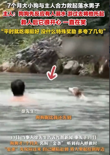 “太有灵性了！”6月10日，男子带着7个月大的狗狗在河边游玩，狗狗突然狂叫起来，