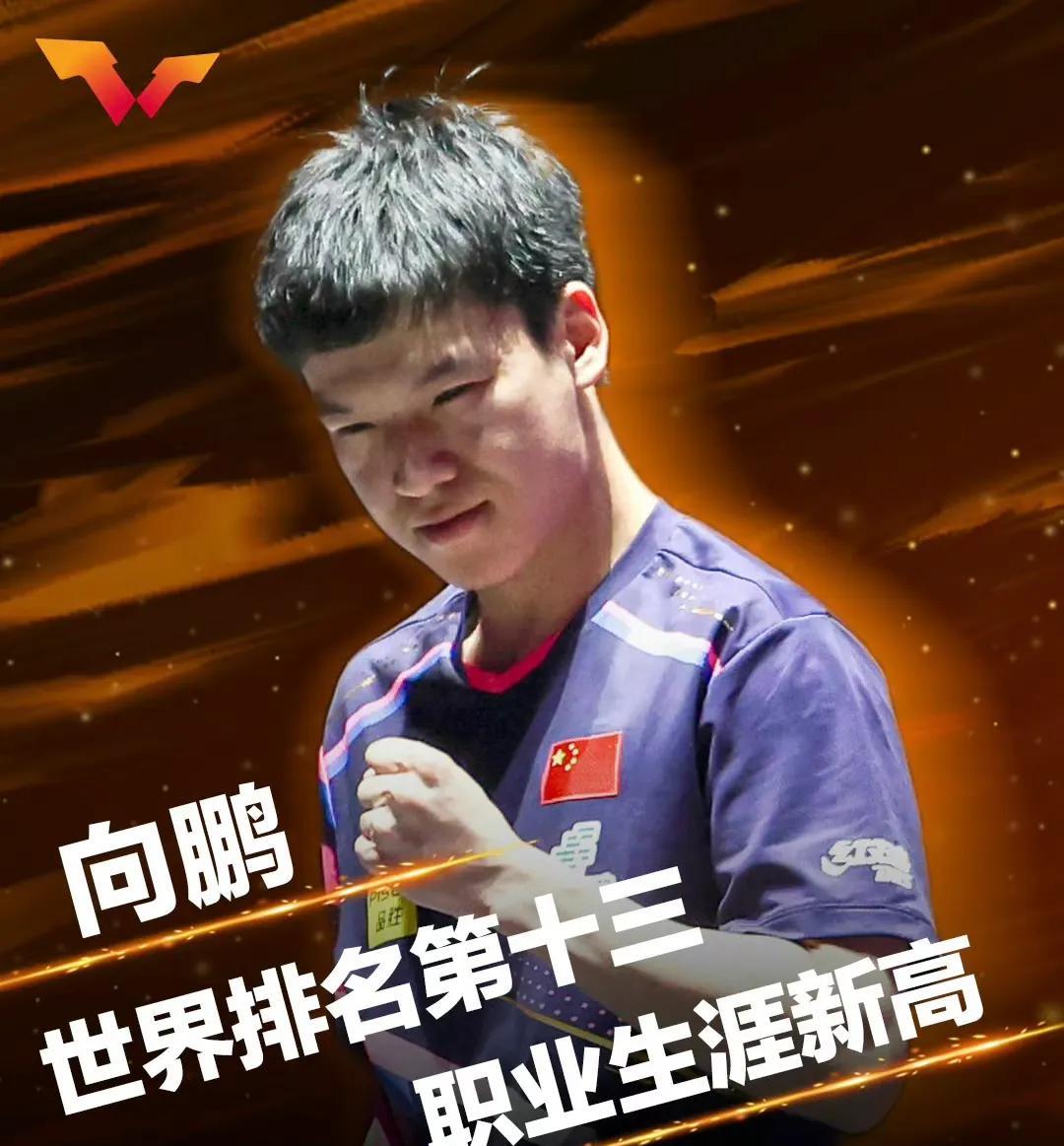 向鹏仁川夺冠后，迅速就得到了国乒的重视，立马就从韩国飞到了太原，马不停蹄的参加太