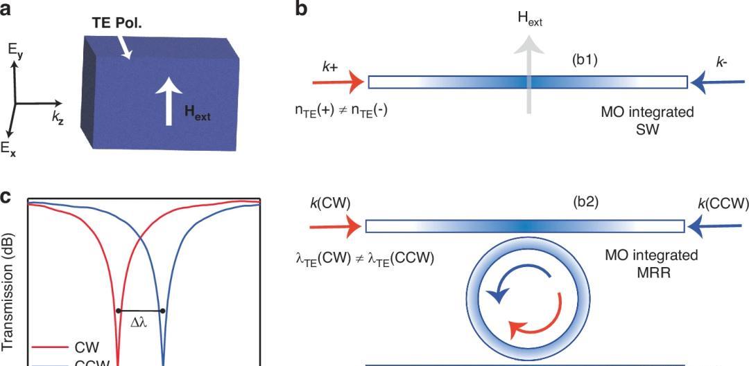 纽约大学阿布扎比分校Light Sci. Appl.：短波红外处集成了2D Cu