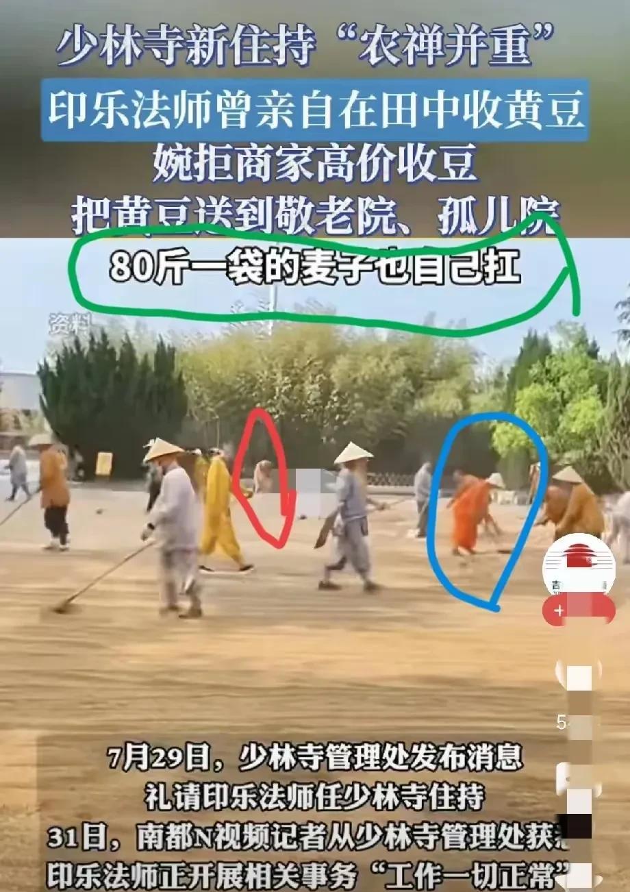 印乐法师一改少林寺之前陋习，现在似乎在对少林寺进行整顿。
印乐大师“农禅并用”，