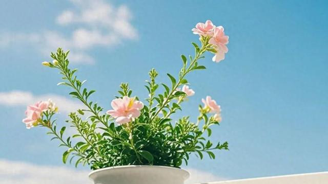 如何有效回击伤害你的男人：冷淡、成长与放下