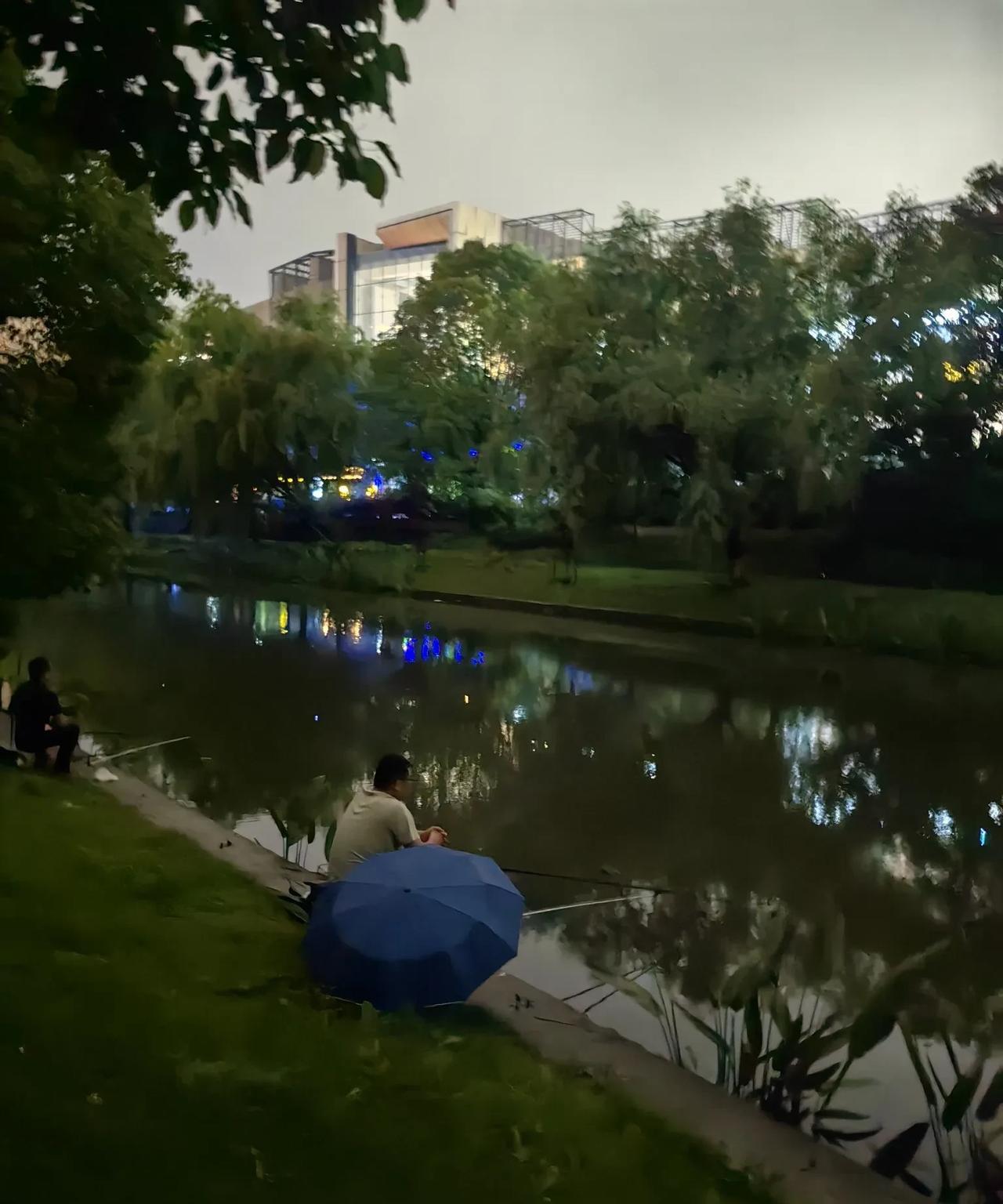 可怜的钓鱼佬。
上海可以免费钓鱼的去处太多太多了，几乎任何一个小区出门300米都