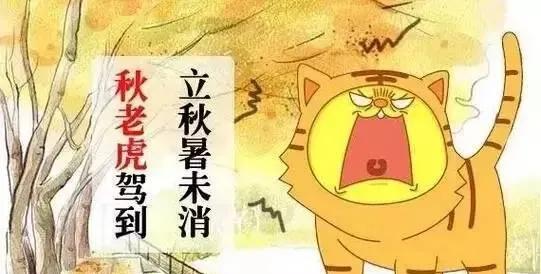 秋老虎之威
立秋已过，本该是秋意渐浓、凉风送爽之时，然这秋老虎却如一头猛兽，肆意