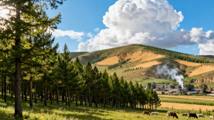 右玉：从风沙之地到塞上绿洲的时光叙事