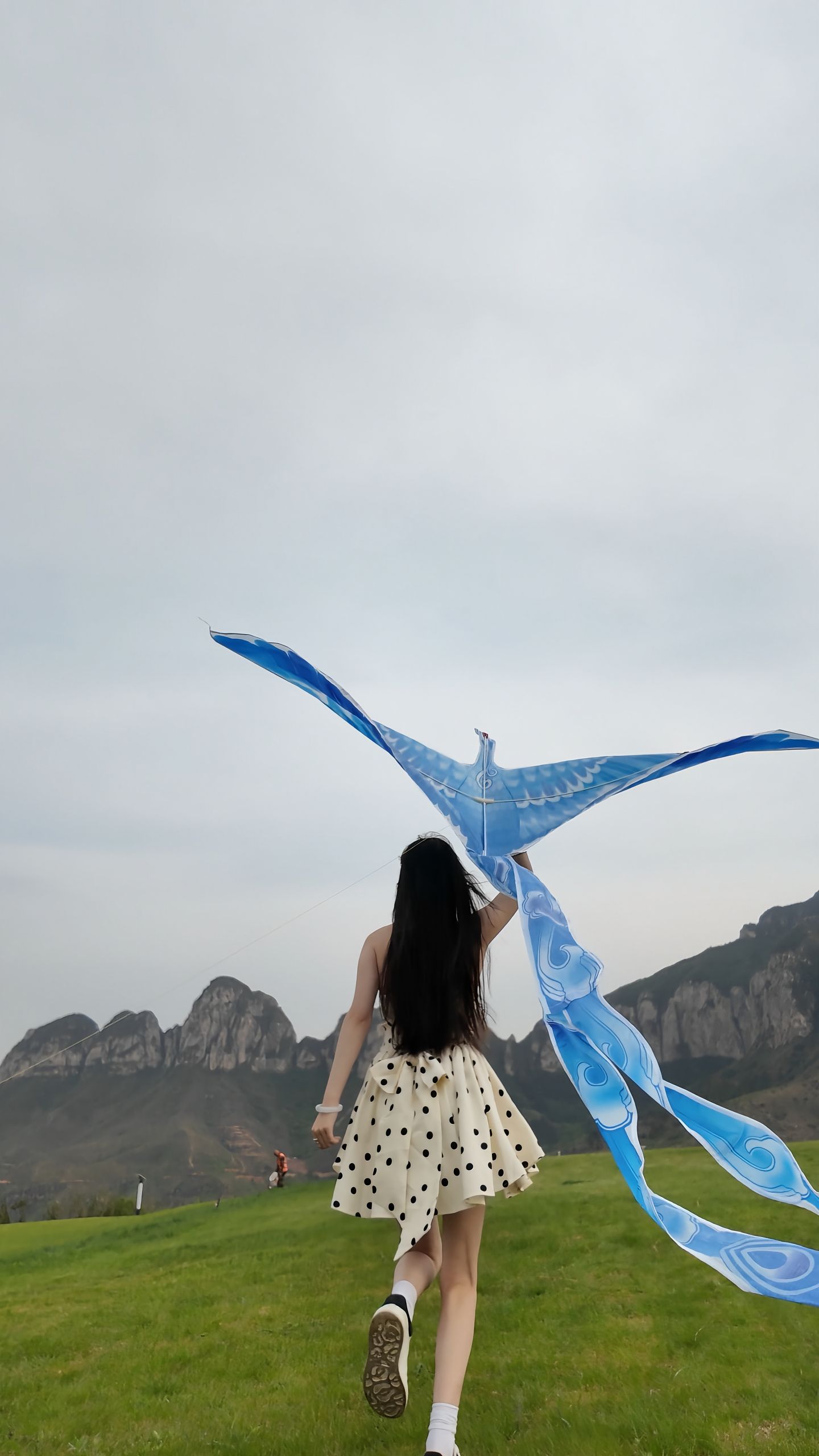 等花落，等风来，等相遇。
