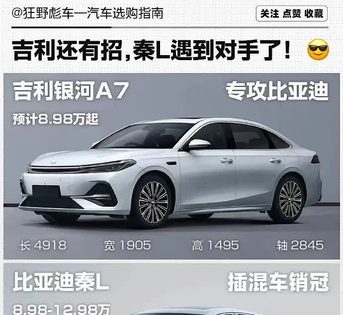 嘉多宝和王老吉干仗，何其正没了。如果吉利和比亚迪是嘉多宝王老吉，谁是何其正呢？
