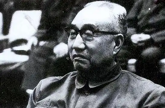 《徐向前：解放战争的军事奇才与人才摇篮》