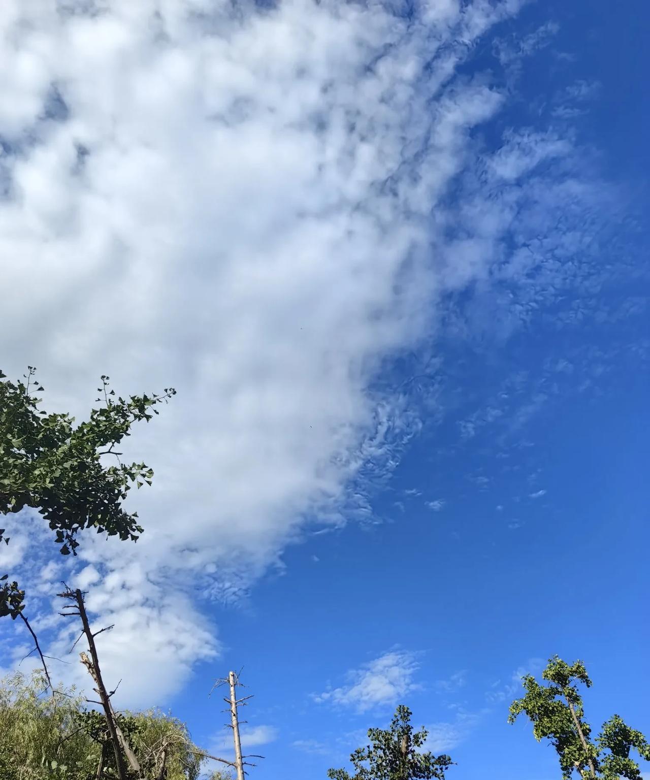 古代的孝顺，其实很多是愚昧和糊弄人的话题，那个年代封建落后，所以对待古文化我们要