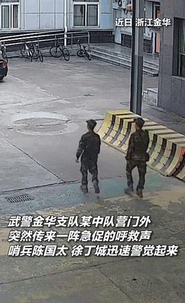 “这就是威慑力！”



六月二十三日正午，金华市烈日当空，陈国太和徐丁城两位武