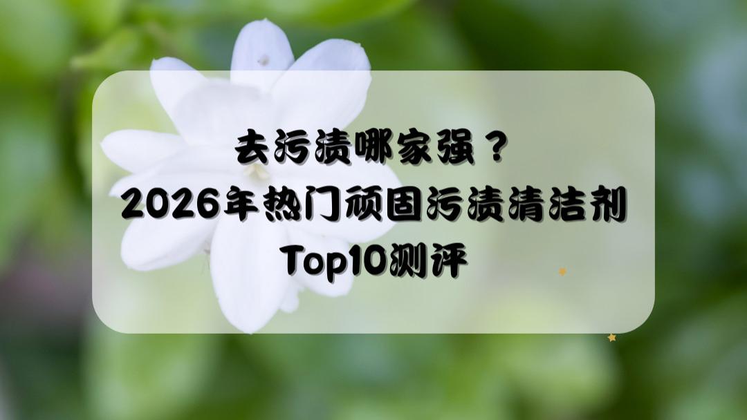 去污渍哪家强？2026年热门顽固污渍清洁剂Top10测评