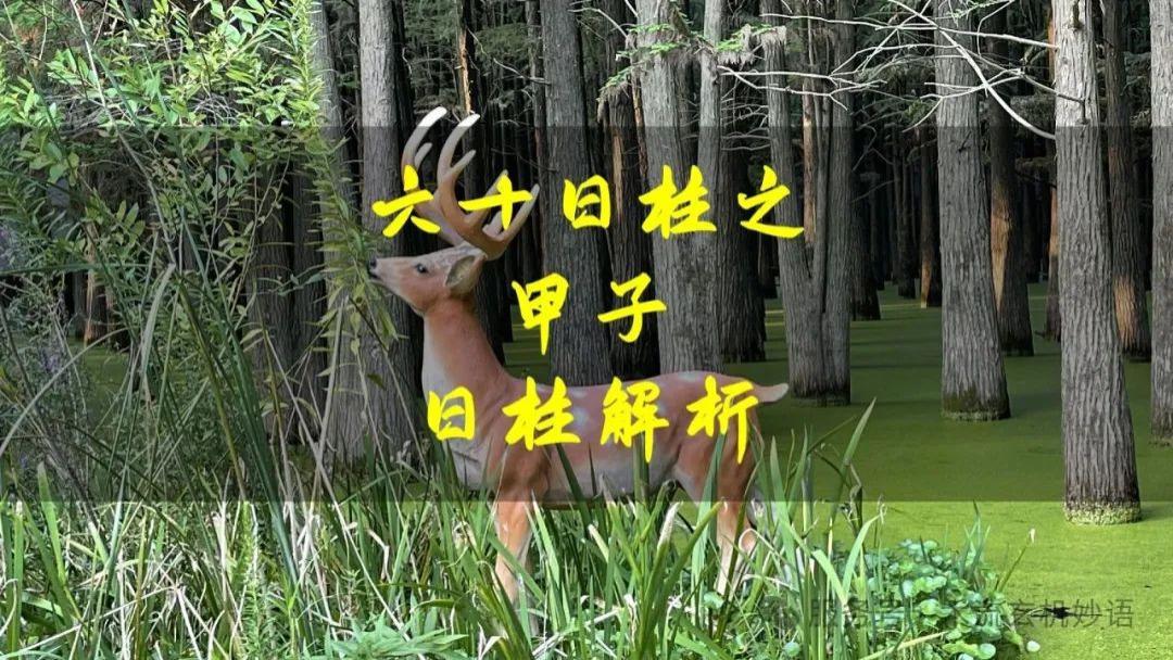 六十日柱之甲子日柱解析