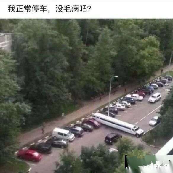 你这样停车有点霸道啊~