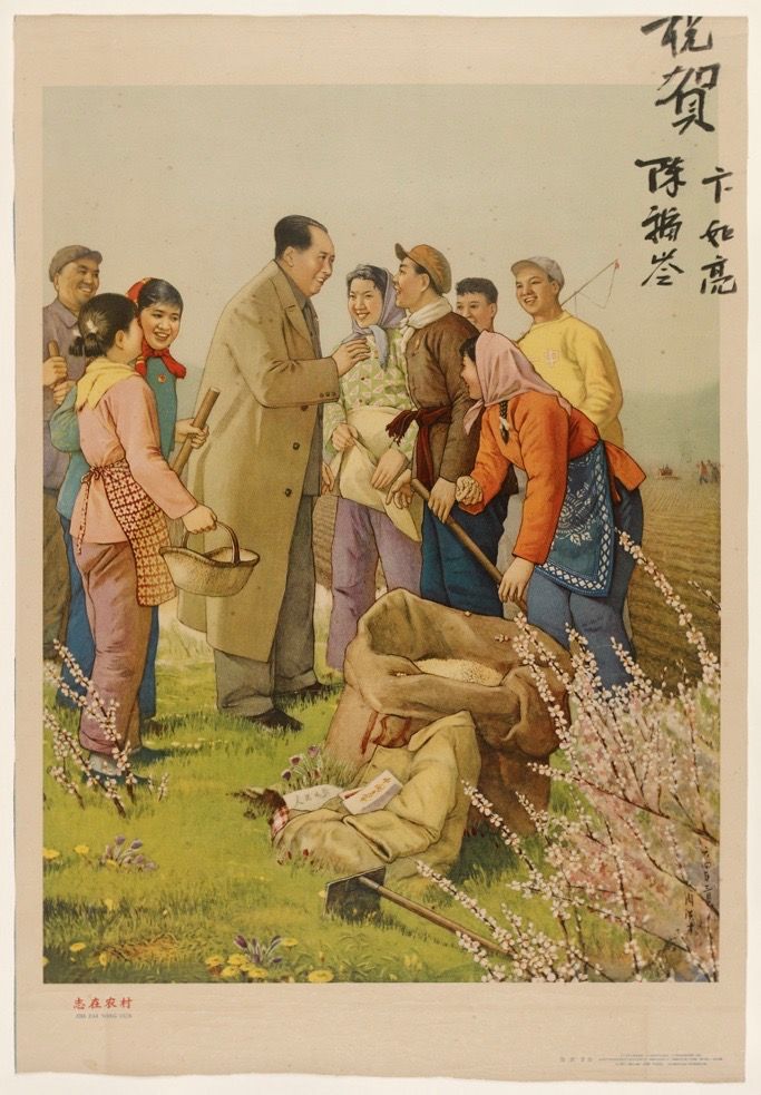​老版宣传画：志在农村 。