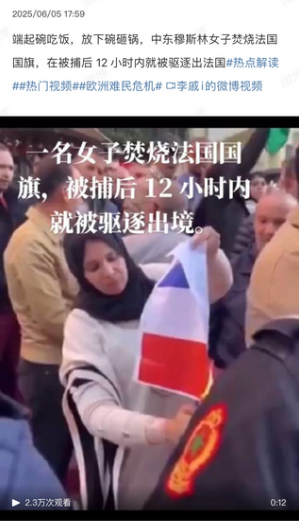 端起碗吃饭，放下碗砸锅，中东穆斯林女子焚烧法国国旗，在被捕后 12 小时内就被驱