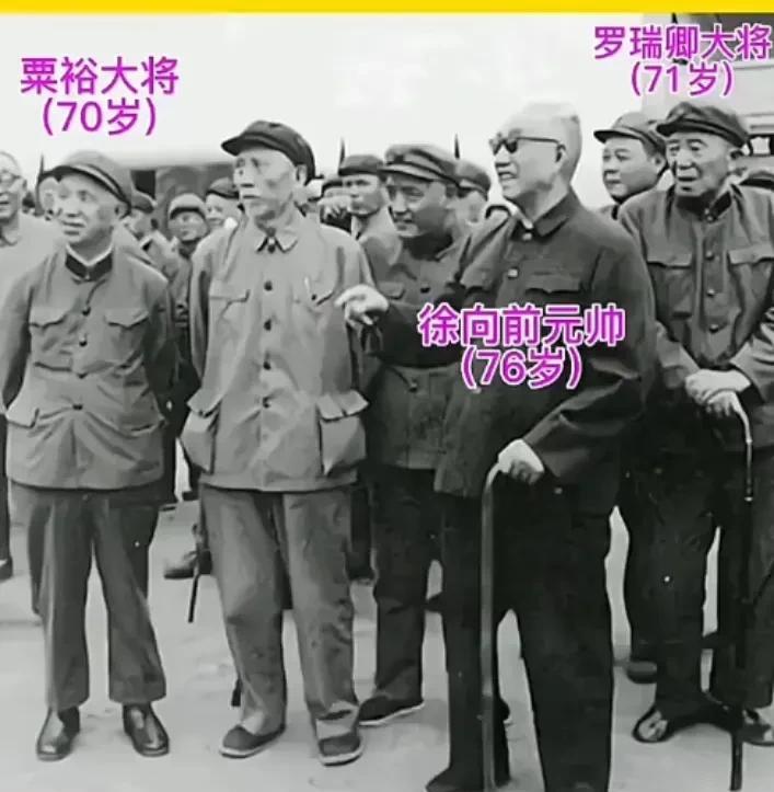 徐向前元帅和粟裕大将，罗瑞卿大将老年时视察工作的合影。
