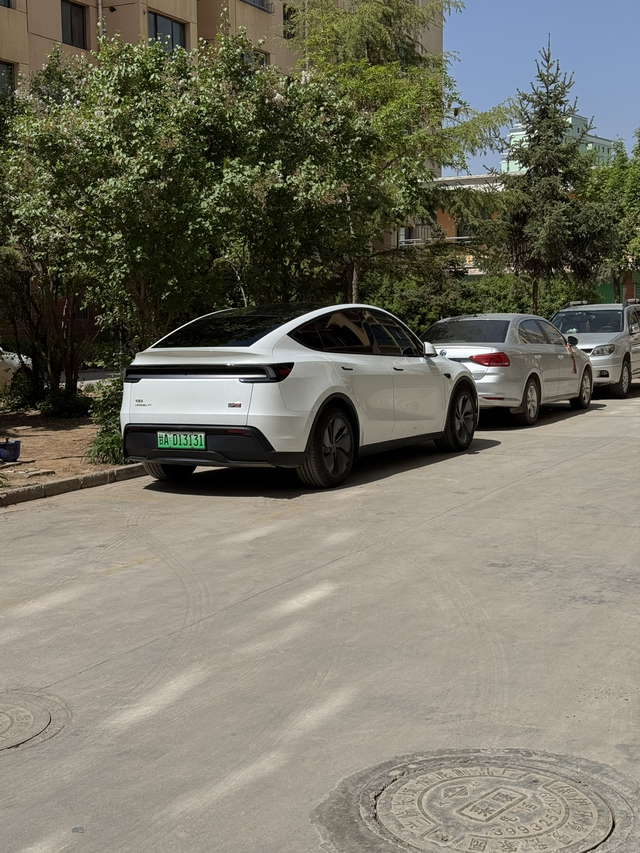 很满意，能耗很低，开车的体感很舒服
车没问题，开了100天了，任何方面都不错，电