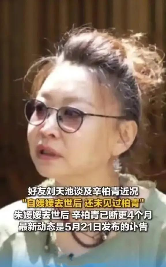 刘天池一语道破：朱媛媛走后，辛柏青“消失”了？成年人的告别是静音模式！
听到刘天