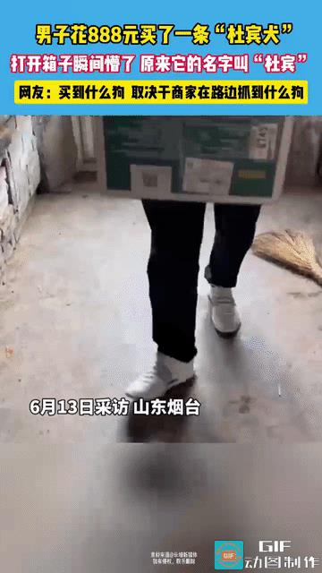 太能忽悠了！山东烟台，男子在网上花888买了一条“杜宾犬”，打开箱子的那一刻懵了