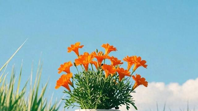 少言多福：聊天时这三件事一定要少谈