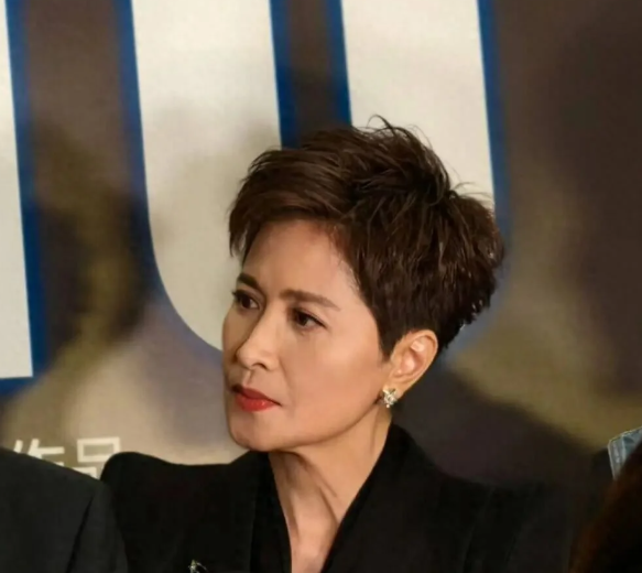 著名演员邵美琪罕见露面，60岁的她留着短发，身穿帅气黑西装，颜值依然能打

	9
