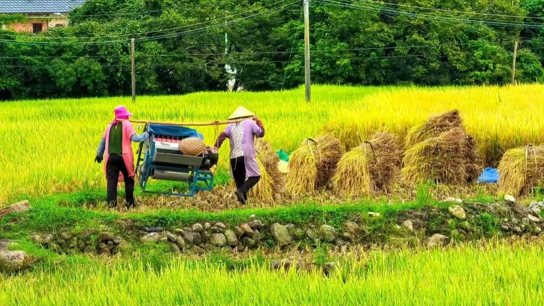 UL 1026：2023应力消除测试要求大揭秘！你准备好了吗？