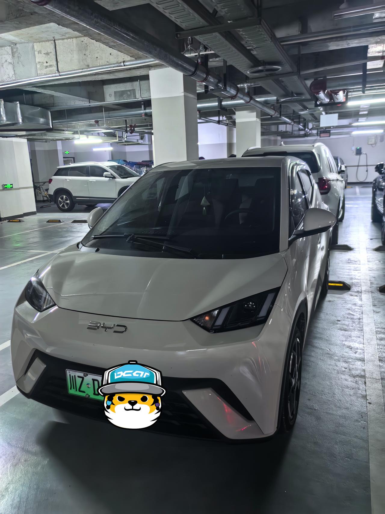 车型介绍:2025款比亚迪海鸥自由版，非智驾版，裸车价7.38万