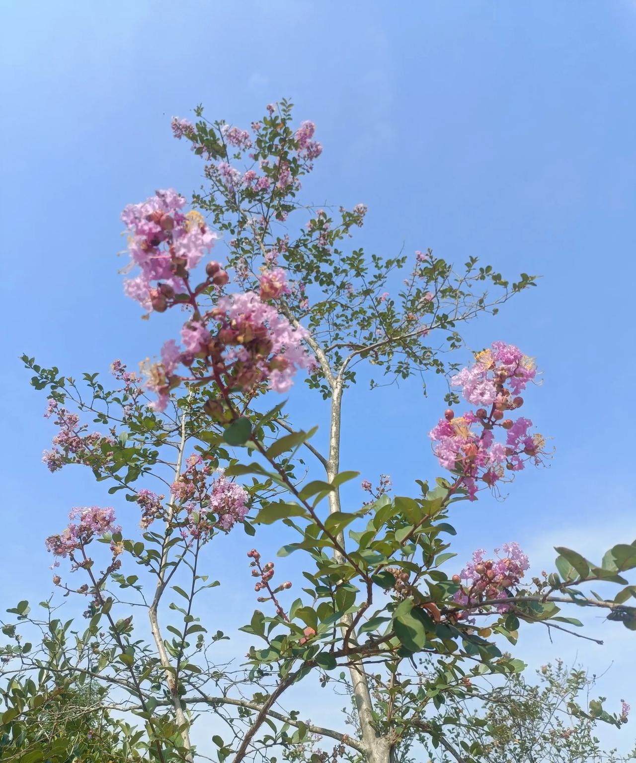 堂哥年初时一下子感觉看不清了
一检查是14点多的糖
他到村里问村干部有什么政策吗