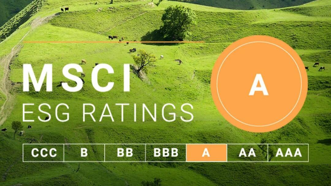 隆基绿能MSCI ESG评级跃升至A级，关键议题得分领跑行业