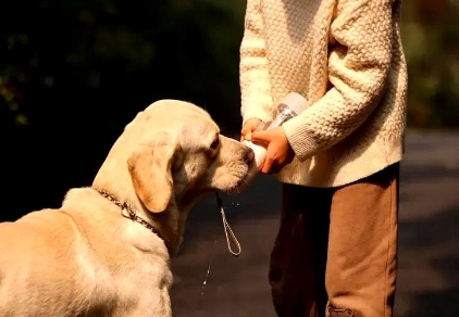 盲人带导盲犬参观被拒，发帖维权到底该不该？

不懂。

一个盲人去博物馆，你看不