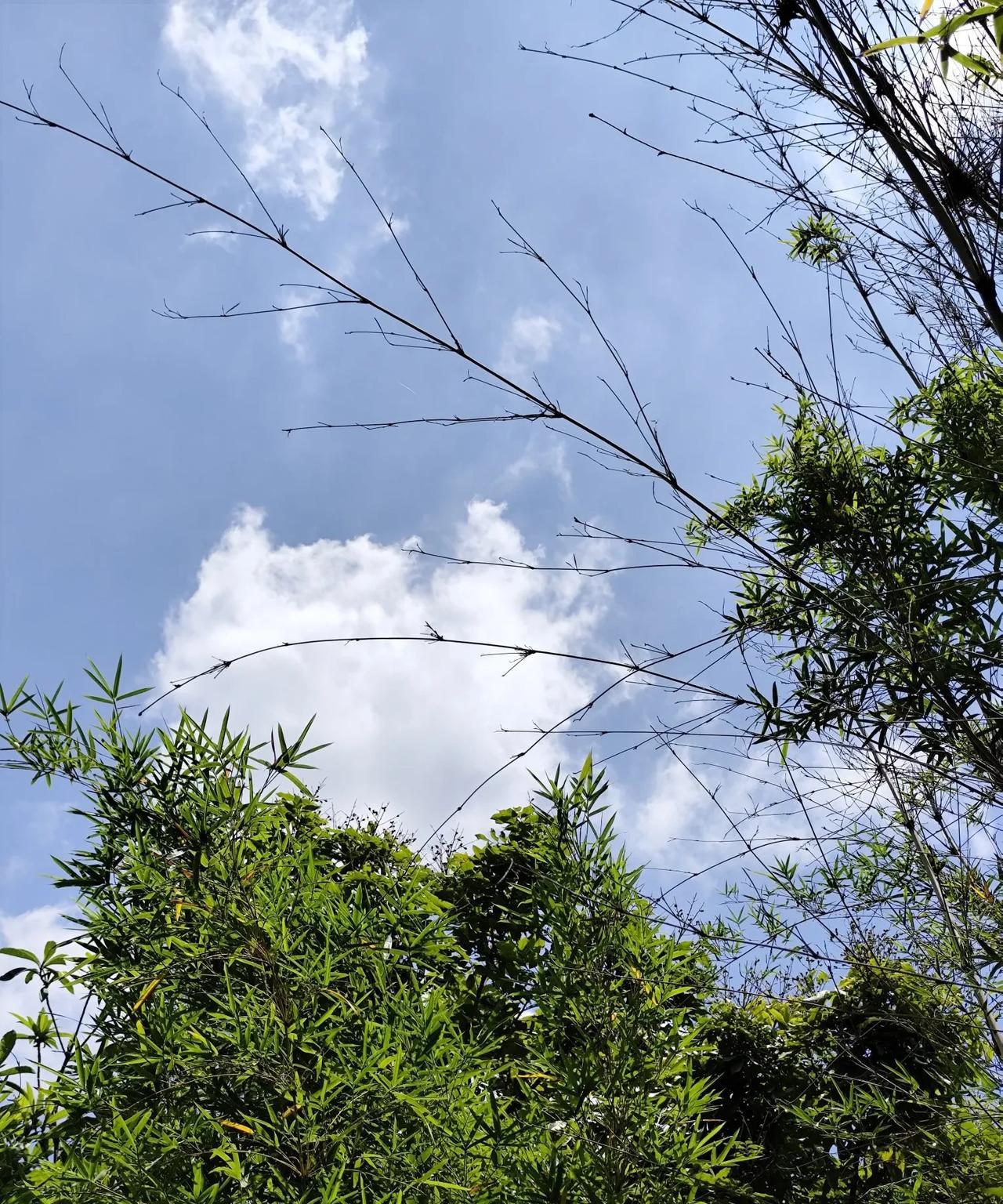 黄圣依生孩子没打麻药，黄圣依生两个孩子都是顺产，生老大时打了催产素， 她觉得打了