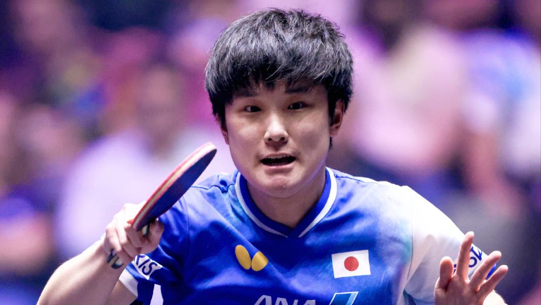 男单8强诞生！张本智和惨遭惊天逆转，2-0连丢3局、浪费4个赛点