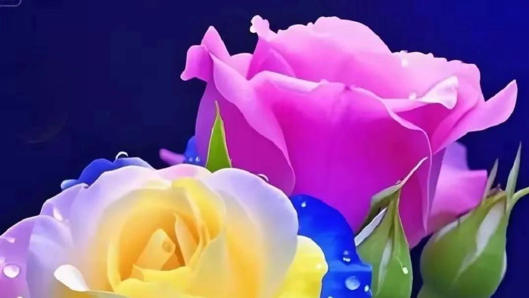 心里有爱，挥不去的思念，写给远方的你