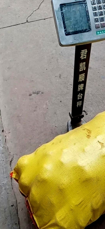回婆婆家里，公婆不在家有人来收土豆，邻居过来问我卖土豆不？

我看见家里房檐下边