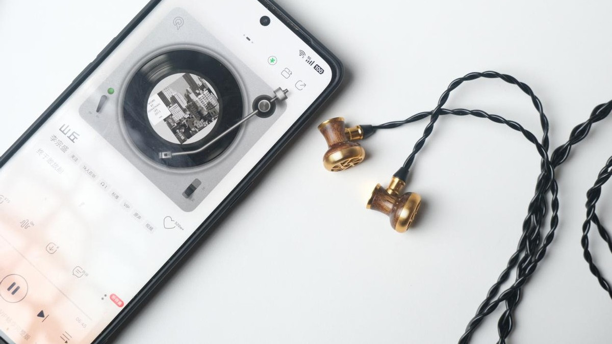 不堆料也能赢：SIVGA M300 黑檀木平头塞音质揭秘