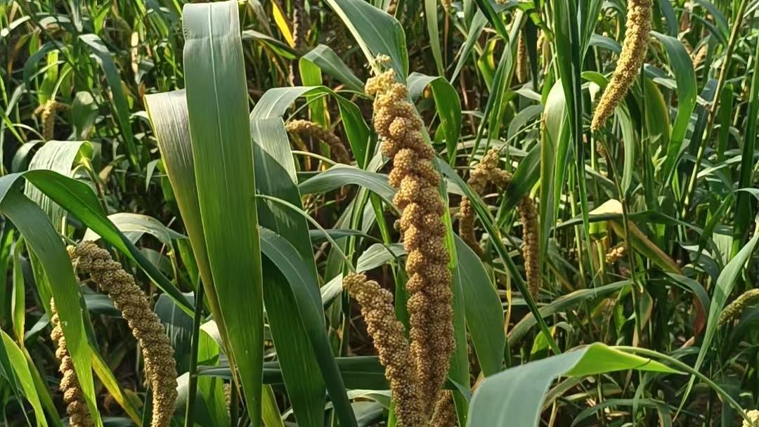 引人共鸣的经典语录，句句戳心，简直是太棒了！