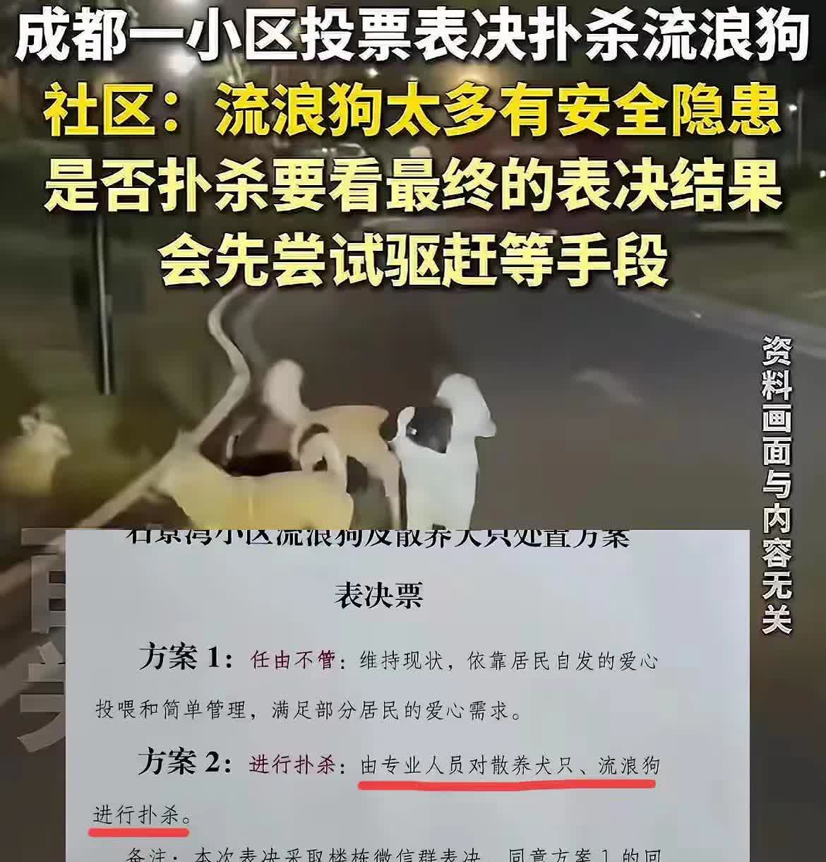 成都一小区因为孩子放假的安全问题，商量怎么处置流浪狗和散养狗，搞了个投票，给出两