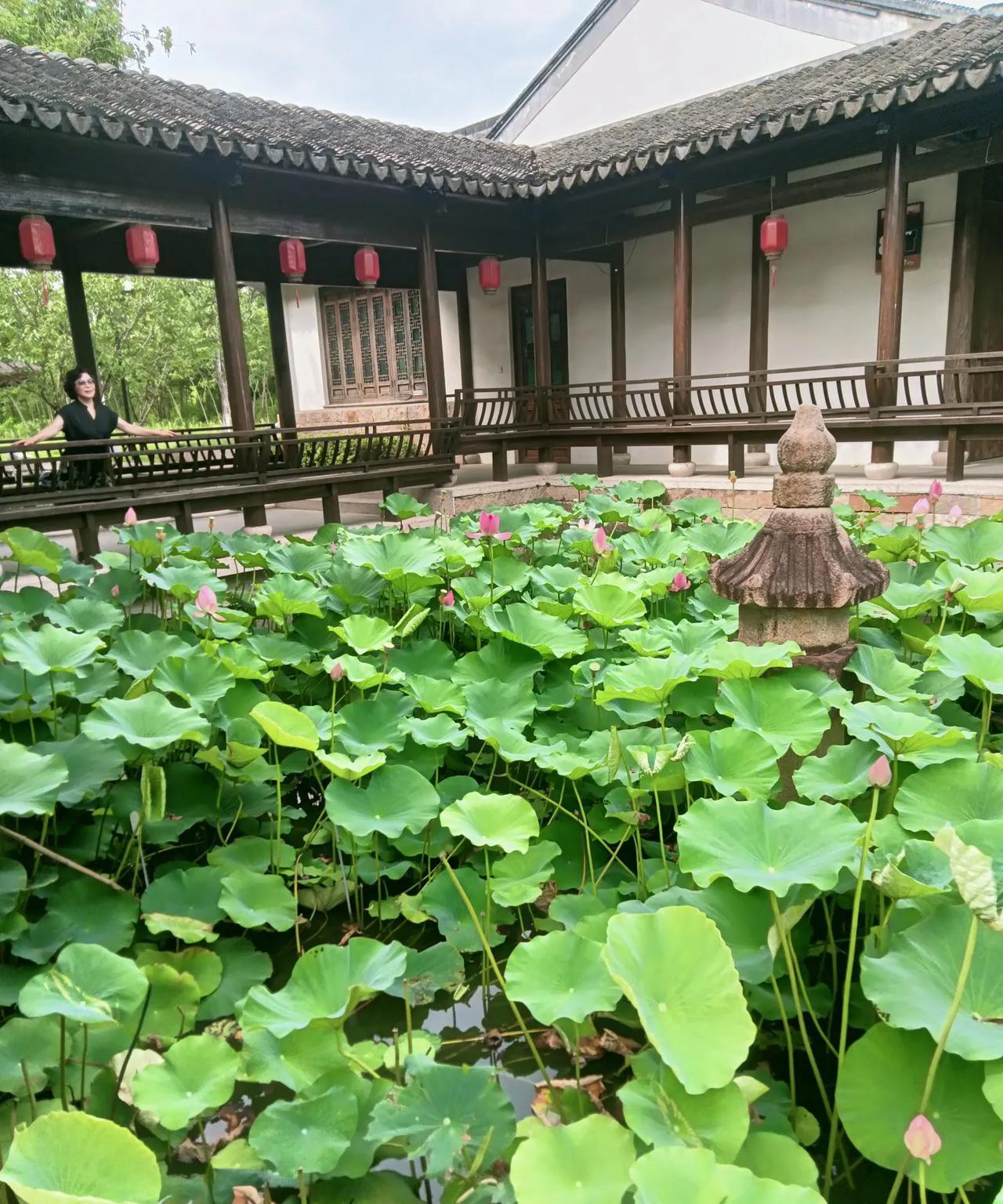 #旅行随手拍#苏州石湖景区，由新郭老街步行至苏州考古博物馆。