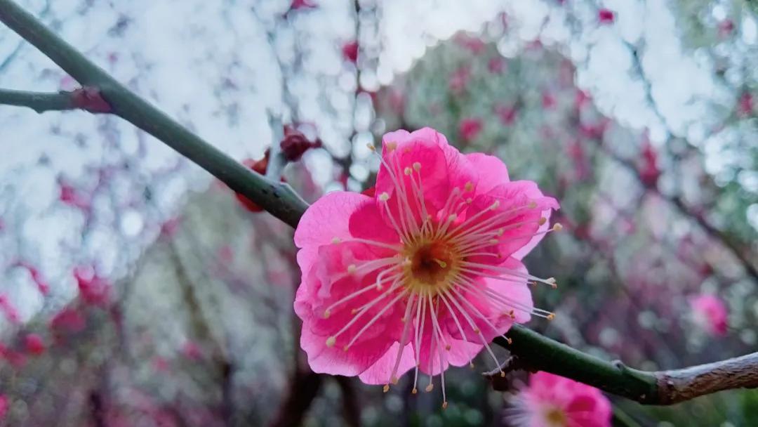 随笔：新岁，人人都有新气象