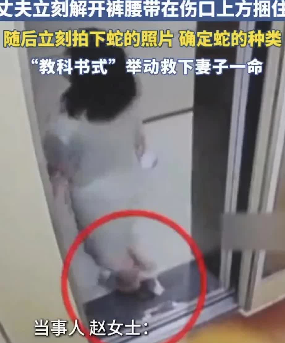 防不胜防啊！电梯门口惊现“烙铁头”毒蛇，还把人咬了，这不会是楼里某户居民养的吧！