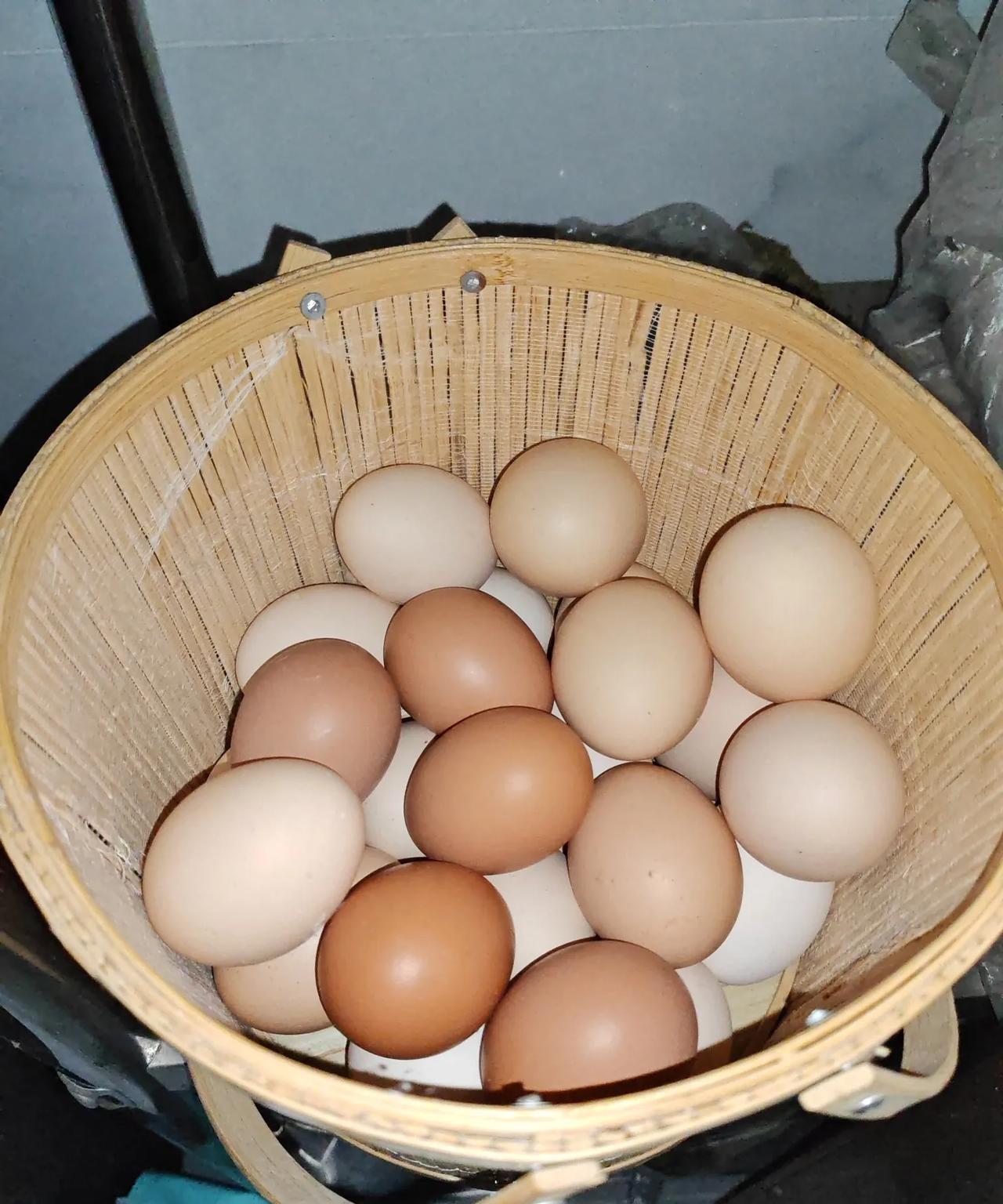 鸡蛋太便宜了
不能算是好消息
也不算坏消息
毕竟收入不高嘛