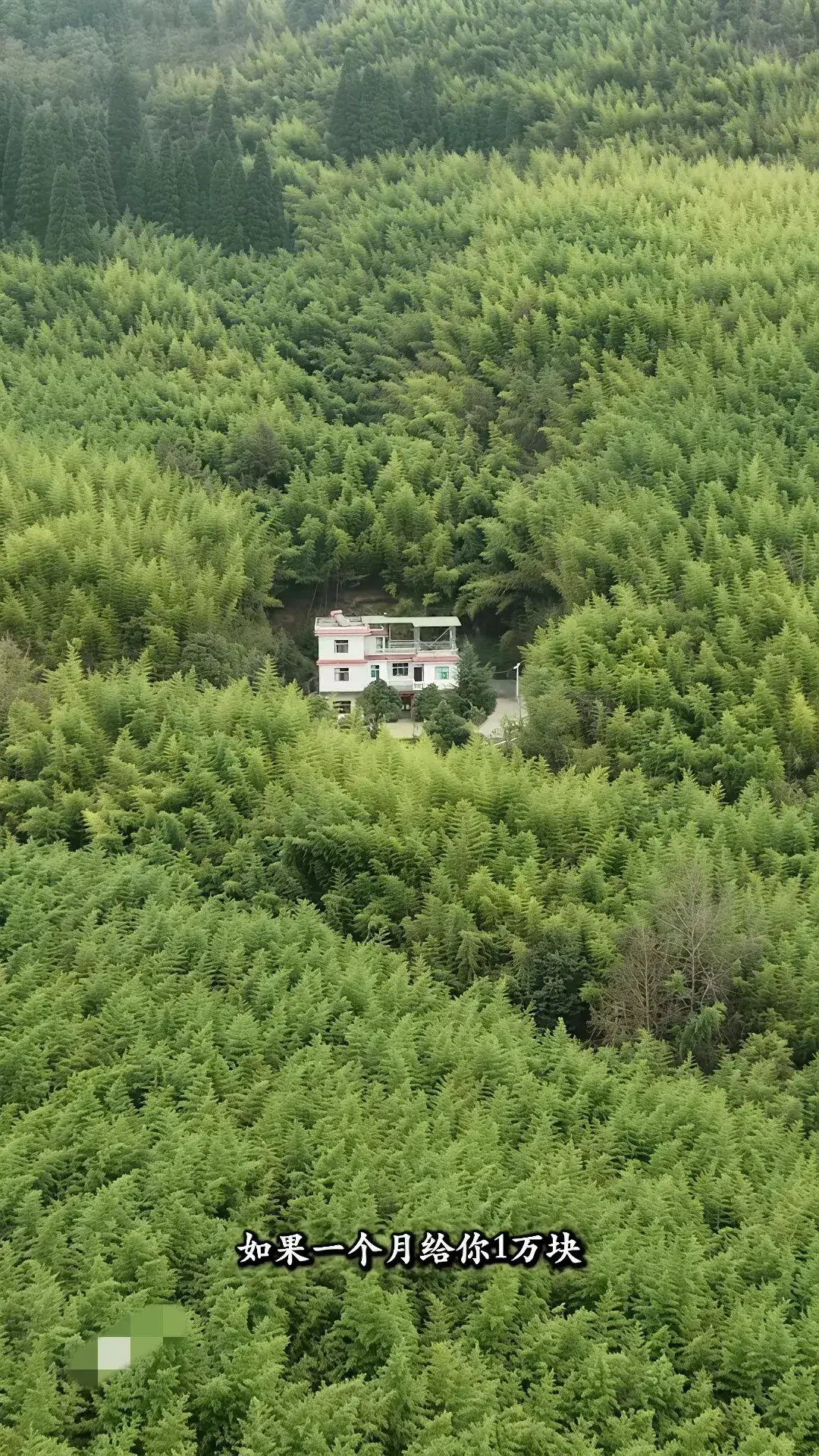一个月一万块，三年不许与外界联系，你敢挑战吗？